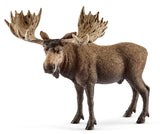 #14781 Moose Bull