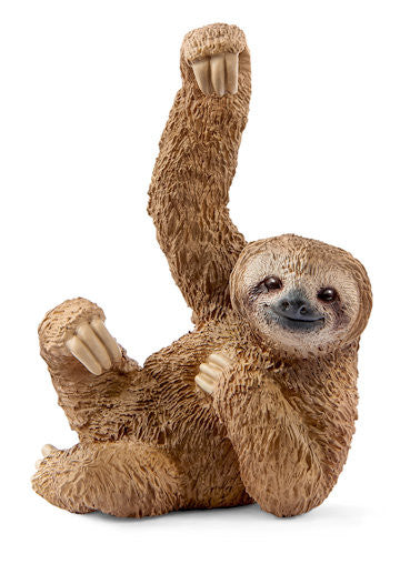 #14793 Sloth