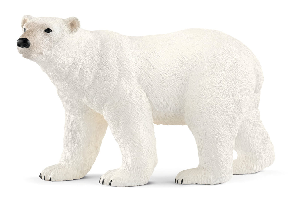 #14800 Polar Bear