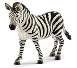 #14810 Zebra Female
