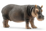 #14814 Hippopotamus