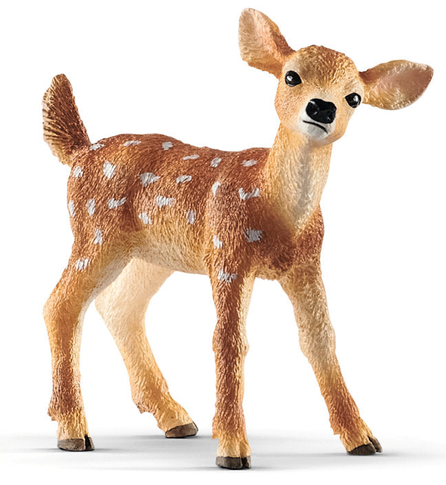 #14820 White-Tailed Fawn