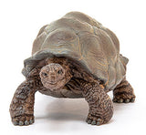#14824 Giant Tortoise