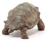 #14824 Giant Tortoise