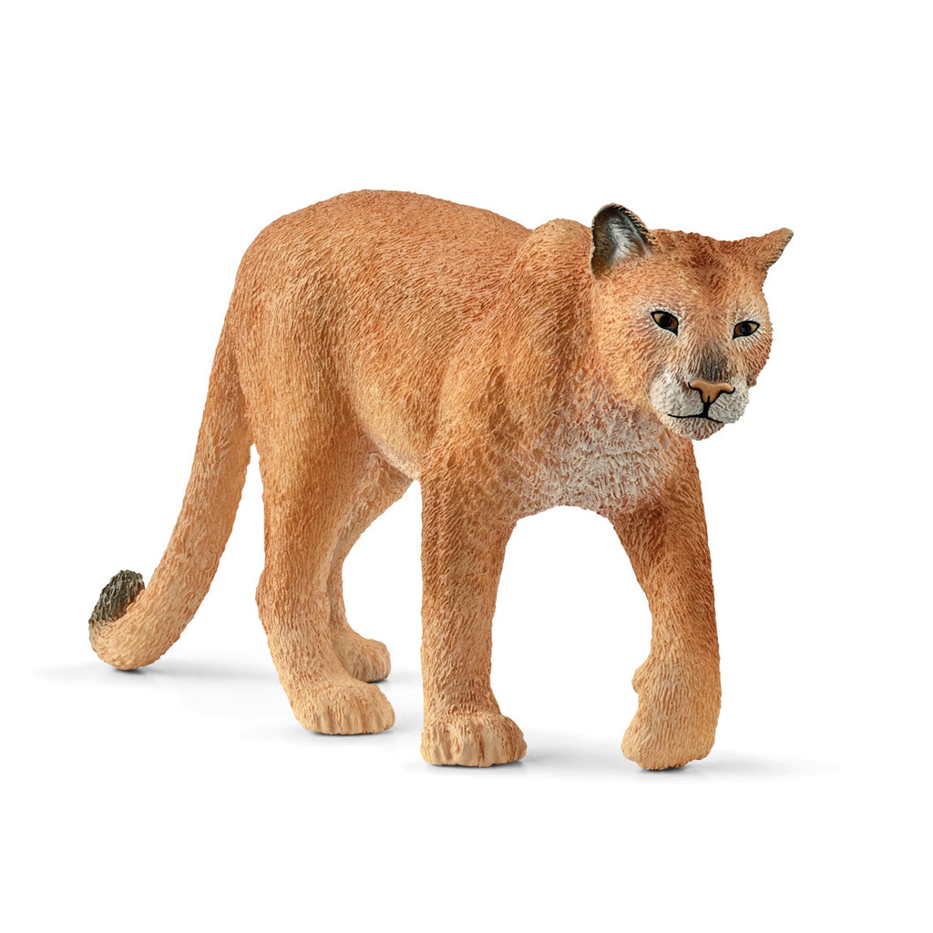 #14853S Cougar