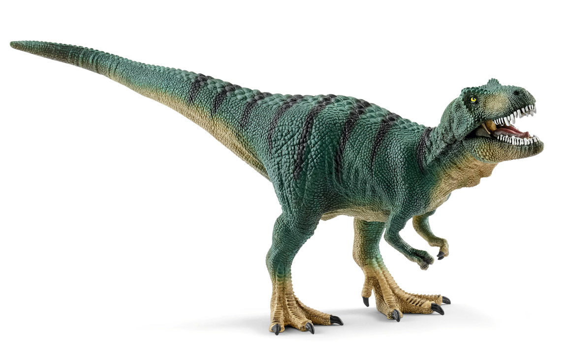 #15007 Juvenile Tyrannosaurus Rex