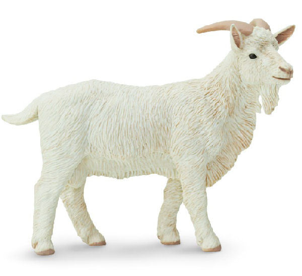 #160429 Billy Goat