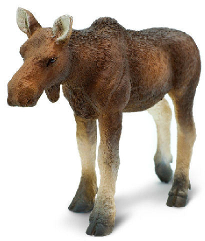 #180829 Moose Cow