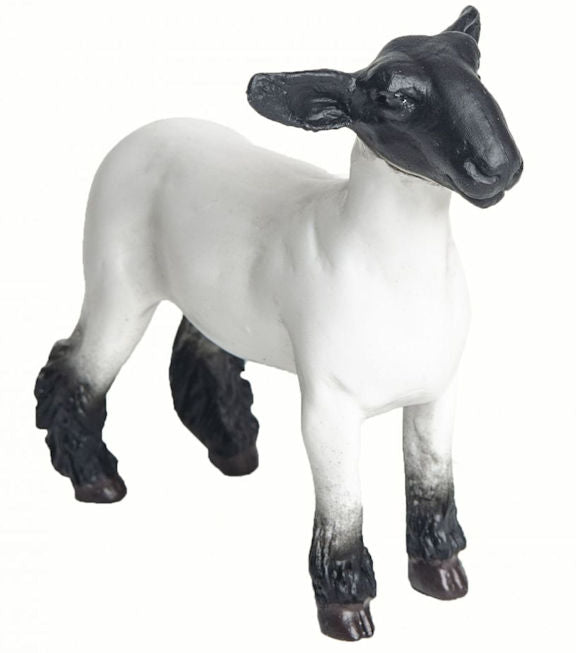 #200890 1/16 Champion Crossbred Market Lamb