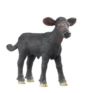 #236429 1/20 Black Angus Calf