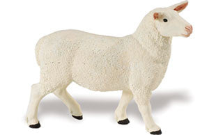 #246129 Ewe Sheep