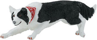 #254529 Border Collie