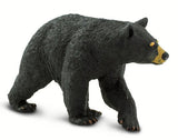 #273529 Black Bear