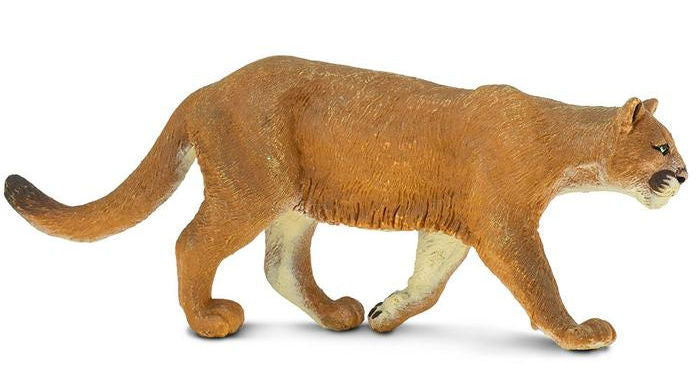 #291829 Mountain Lion