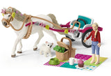 #42467 1/20 Carriage Ride with Picnic