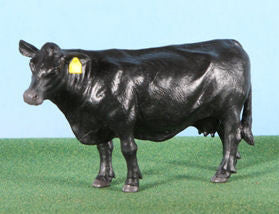 #500256 1/16 Black Angus Cow