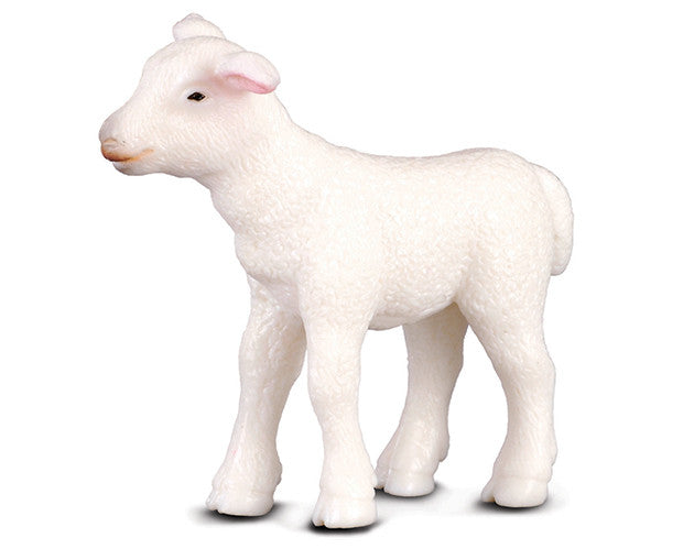 #88009 Lamb