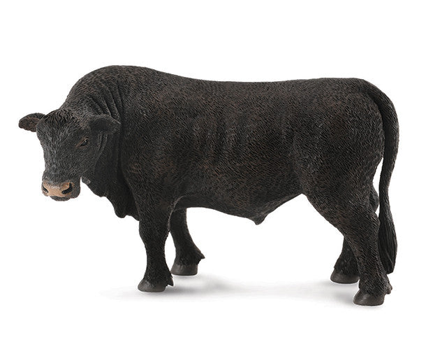 #88507 Black Angus Bull