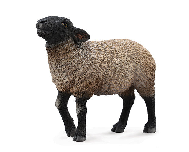 #88636 Suffolk Sheep