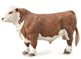 #88861 Hereford Bull, Polled