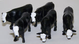 #FCA205 1/64 Black Baldy Steers